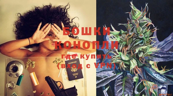 спайс Ельня