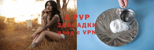 спайс Ельня