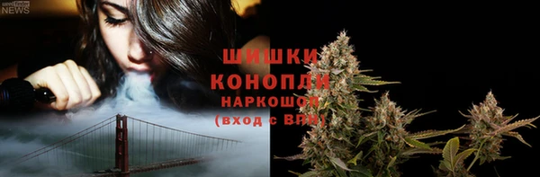 спайс Ельня