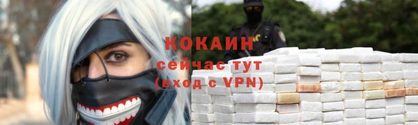 спайс Ельня
