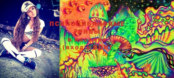 спайс Ельня